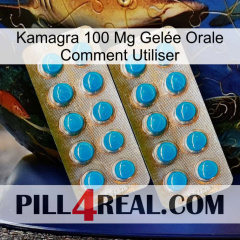 Kamagra 100 Mg Gelée Orale Comment Utiliser new08